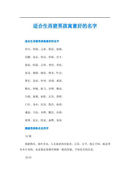 适合生肖猪男孩寓意好的名字