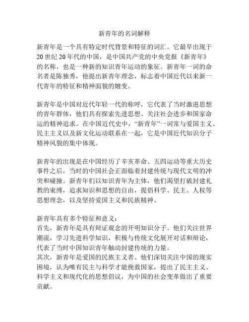 新青年的名词解释