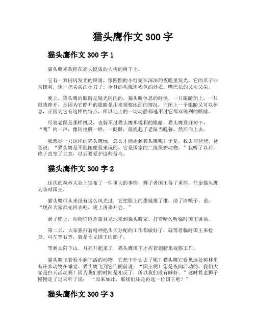 猫头鹰作文300字