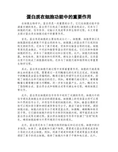 蛋白质在细胞功能中的重要作用