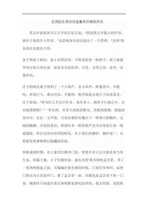 无用的东西往往是最有价值的作文