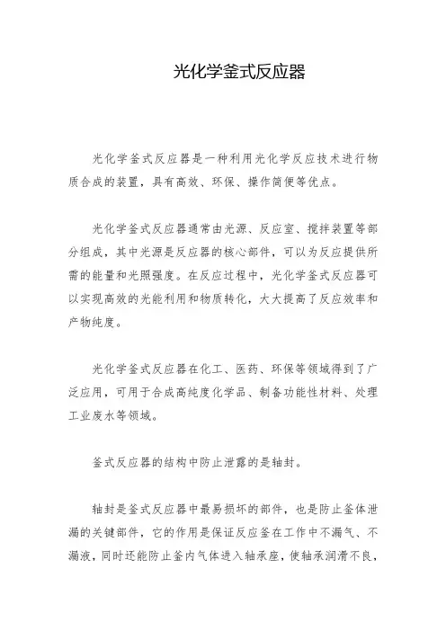 光化学釜式反应器