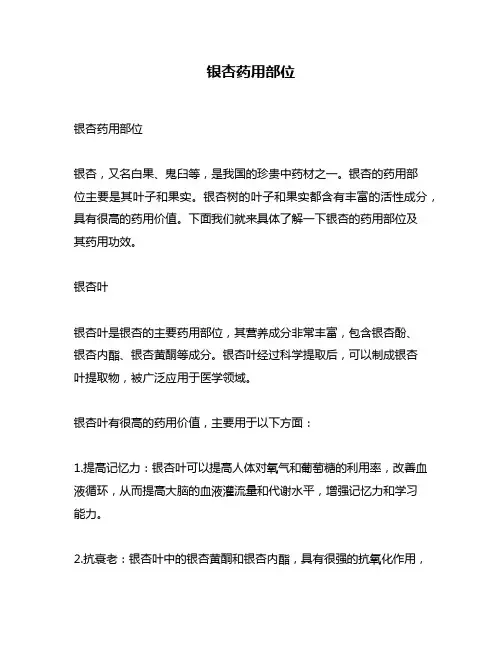 银杏药用部位