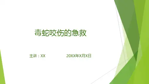 毒蛇咬伤的急救(课件PPT)