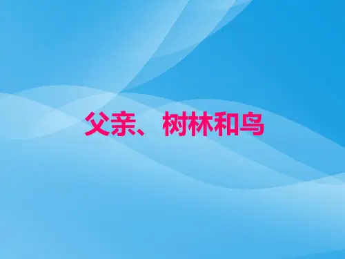父亲、树林和鸟课件语文课件PPT