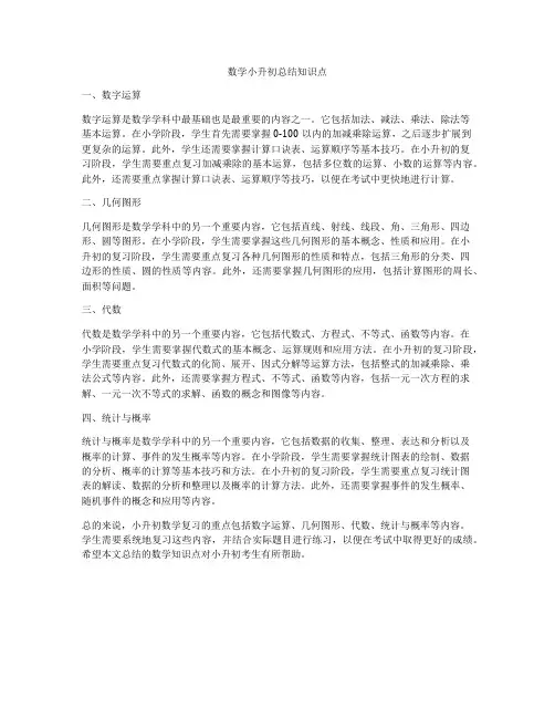 数学小升初总结知识点