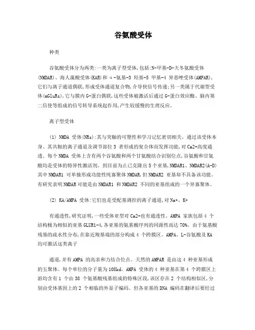 谷氨酸受体