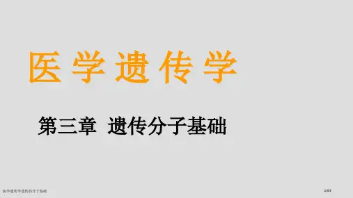 医学遗传学遗传的分子基础