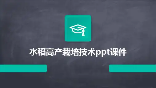 水稻高产栽培技术ppt课件