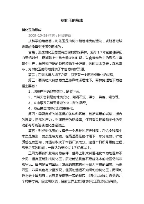 树化玉的形成