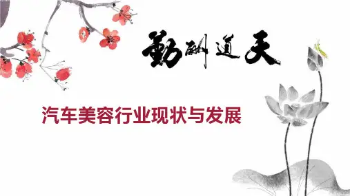 汽车美容行业现状与发展