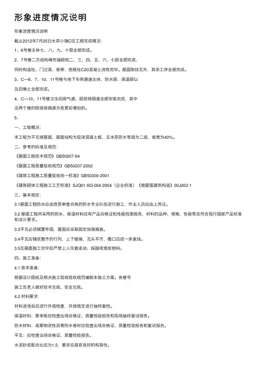 形象进度情况说明