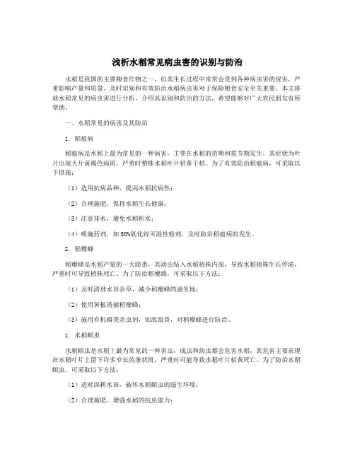 浅析水稻常见病虫害的识别与防治