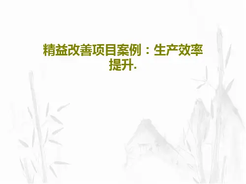 精益改善项目案例：生产效率提升.43页PPT
