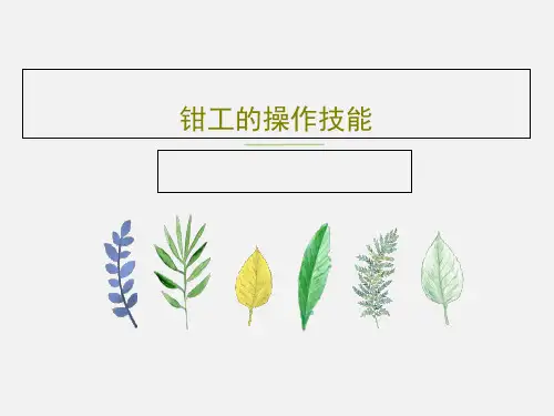 钳工的操作技能29页PPT