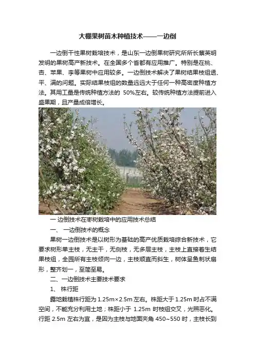 大棚果树苗木种植技术——一边倒
