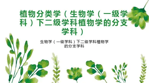 植物分类学(生物学(一级学科)下二级学科植物学的分支学科)