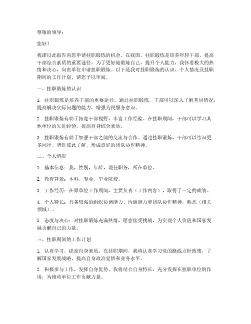 挂职申请报告