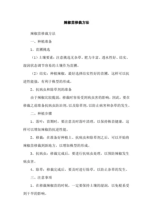 辣椒苗移栽方法