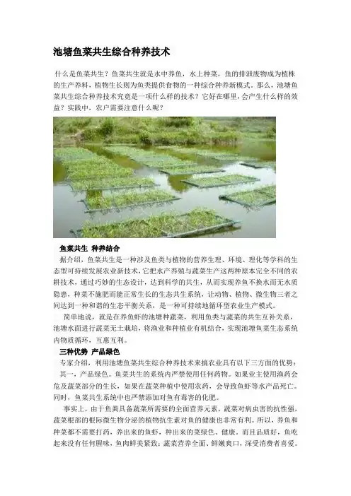 池塘鱼菜共生综合种养技术