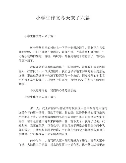 小学生作文冬天来了六篇