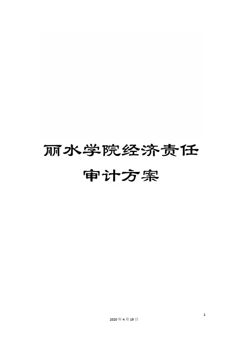 丽水学院经济责任审计方案