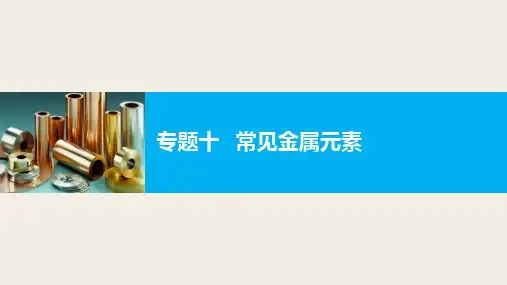 高中化学步步高二轮复习全套课件专题十