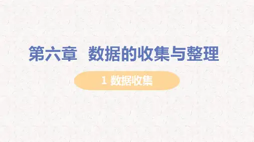 北师大版七年级上册数学课件第六章--数据的收集与整理