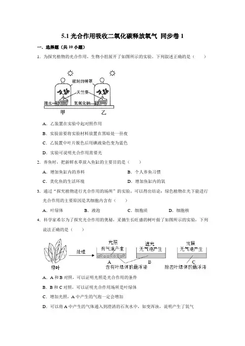鲁科五四制版生物六年级下册光合作用吸收二氧化碳释放氧气