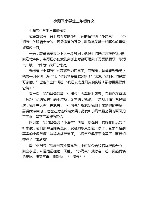 小淘气小学生三年级作文