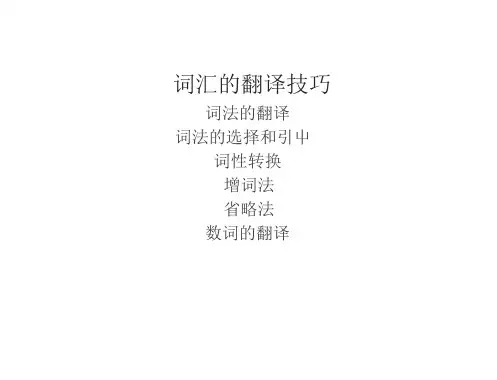 翻译的技巧一词法翻译法(56页)
