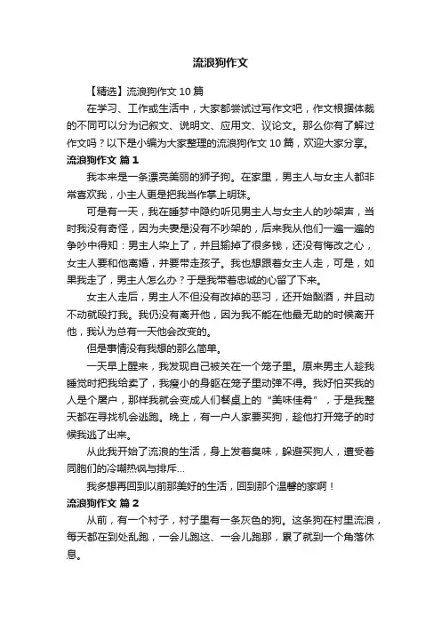 【精选】流浪狗作文10篇