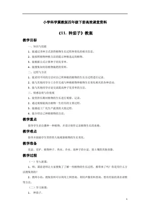 小学科学冀教版四年级下册高效课堂资料《11. 种茄子》教案