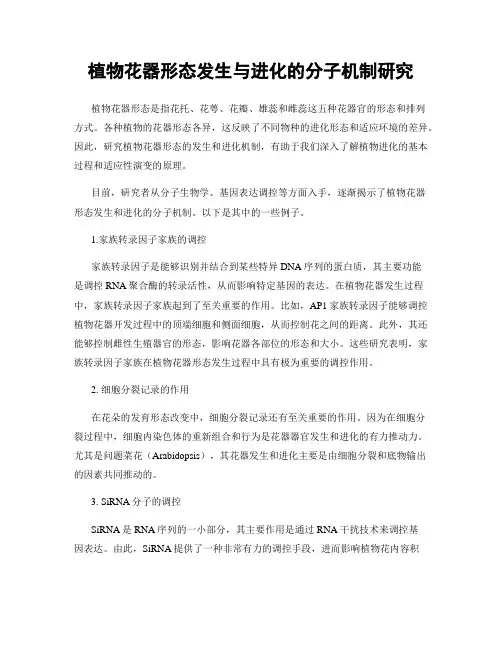 植物花器形态发生与进化的分子机制研究