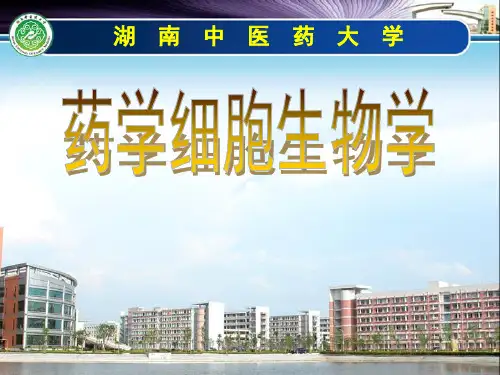 细胞生物学-第一章 绪论