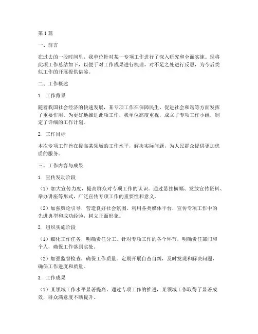 专项报告工作总结范文(3篇)