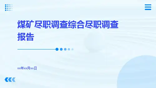 煤矿尽职调查综合尽职调查报告