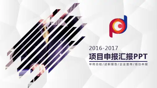 项目申报汇报PPT