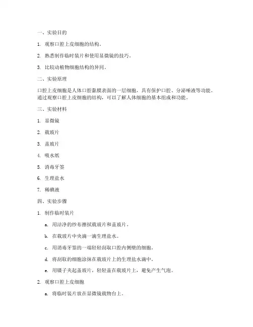 口腔上边细胞实验报告