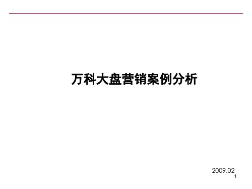 万科大盘营销案例分析