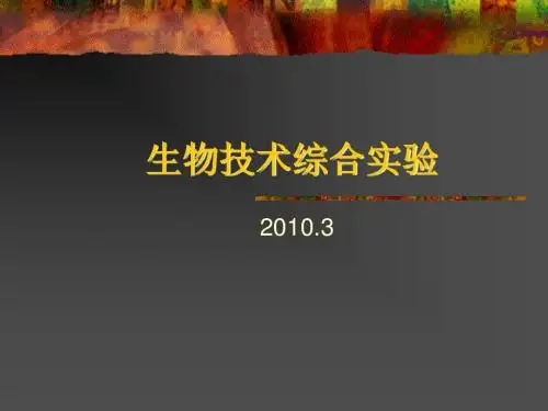 实验二蔗糖酶