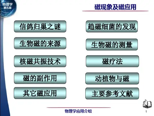 磁现象及磁应用课件