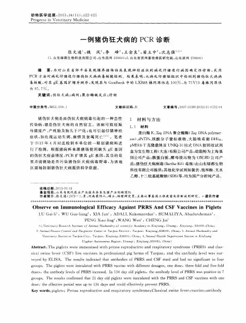 一例猪伪狂犬病的PCR诊断