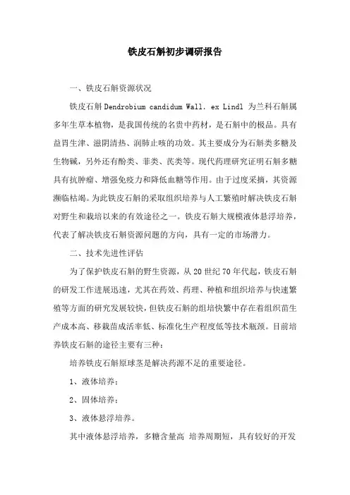 铁皮石斛初步调研报告