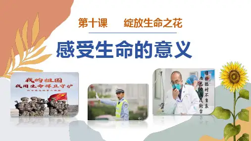 10.1 感受生命的意义 课件(共23张PPT)统编版道德与法治七年级上册