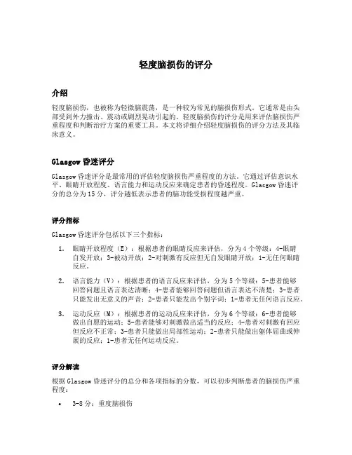 轻度脑损伤的评分