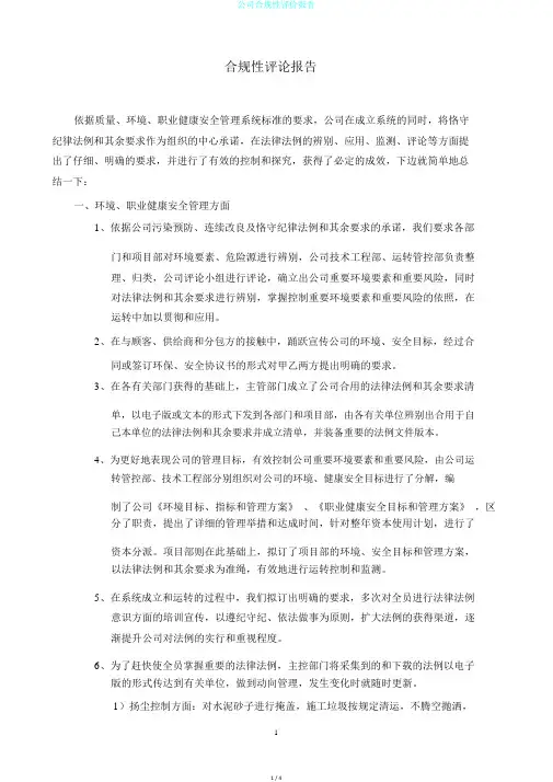 公司合规性评价报告