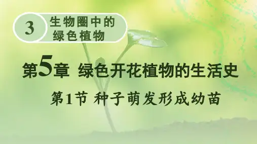 第1节 种子萌发形成幼苗
