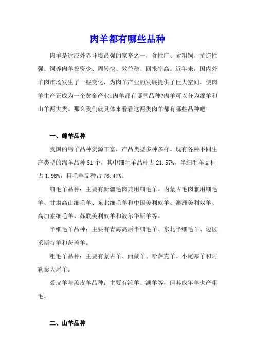 肉羊都有哪些品种