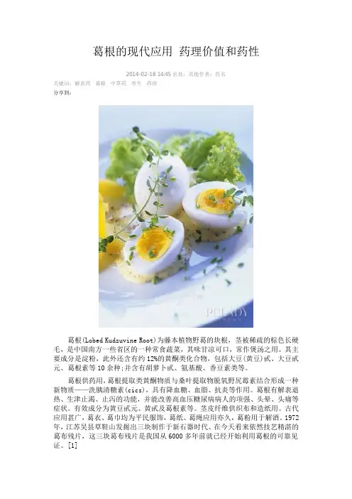 葛根的现代应用 药理价值及药性